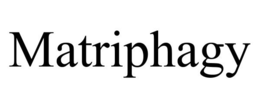 MATRIPHAGY trademark