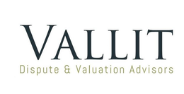 VALLIT DISPUTE & VALUATION ADVISORS trademark