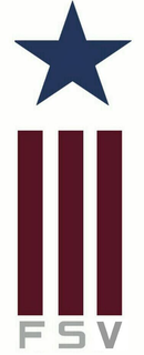 FSV trademark