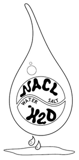 NACL SALT WATER H2O trademark