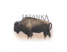 TATANKA trademark