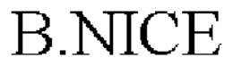 B.NICE trademark