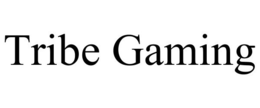 TRIBE GAMING trademark