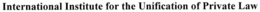 INTERNATIONAL INSTITUTE FOR THE UNIFICATION OF PRIVATE LAW trademark