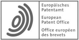 EUROPÄISCHE PATENTAMT     EUROPEAN PATENT OFFICE     OFFICE EUROPÉEN DES BREVETS trademark