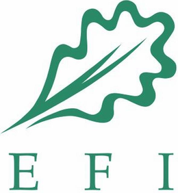 EFI trademark