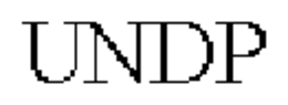 UNDP trademark