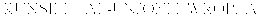 KUNSILL TAL-UNJONI EWROPEA trademark