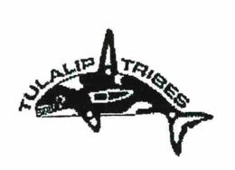 TULALIP TRIBES trademark