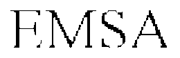 EMSA trademark