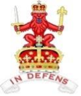 IN DEFENS trademark