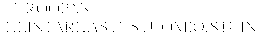 EUROOPAN TILINTARKASTUSTUOMIOISTUIN trademark