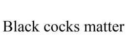 BLACK COCKS MATTER trademark