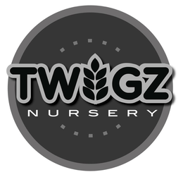 TWIGZ NURSERY trademark