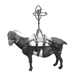 360° trademark