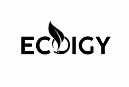 ECOIGY trademark