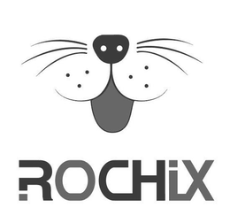 ROCHIX trademark