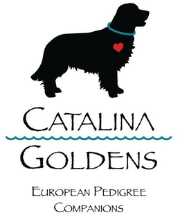 CATALINA GOLDENS EUROPEAN PEDIGREE COMPANIONS trademark