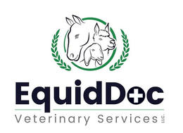 EQUIDDOC VETERINARY SERVICES LLC trademark