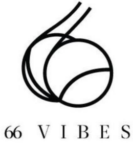66  VIBES trademark