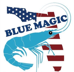 BLUE MAGIC trademark
