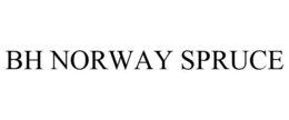 BH NORWAY SPRUCE trademark