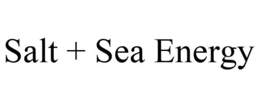 SALT + SEA ENERGY trademark