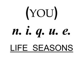 (YOU) N.I.Q.U.E. LIFE SEASONS trademark