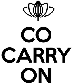 CO CARRY ON trademark