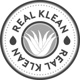 REAL KLEAN trademark