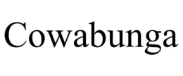COWABUNGA trademark