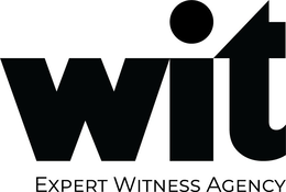 WIT EXPERT WITNESS AGENCY trademark