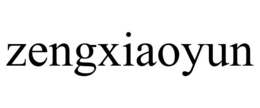 ZENGXIAOYUN trademark