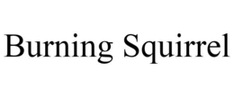 BURNING SQUIRREL trademark