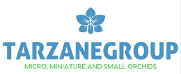 TARZANEGROUP MICRO, MINIATURE AND SMALL ORCHIDS trademark