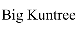 BIG KUNTREE trademark