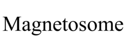 MAGNETOSOME trademark