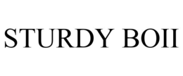 STURDY BOII trademark