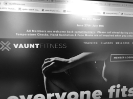 VAUNT trademark