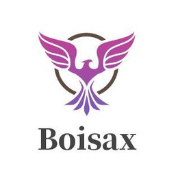 BOISAX trademark