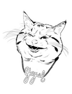 YAYSH trademark