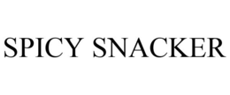 SPICY SNACKER trademark