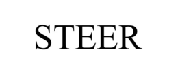 STEER trademark
