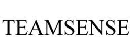 TEAMSENSE trademark