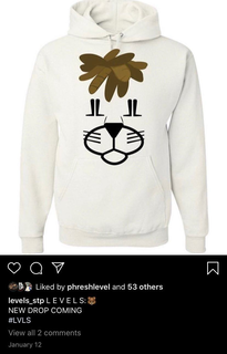LEVELS trademark