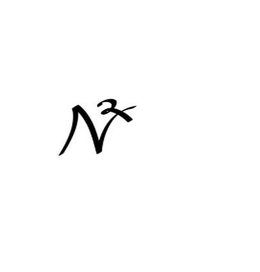 N²X trademark