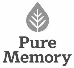 PURE MEMORY trademark