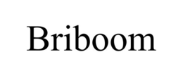 BRIBOOM trademark