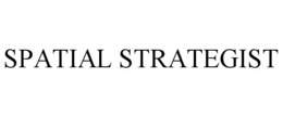 SPATIAL STRATEGIST trademark