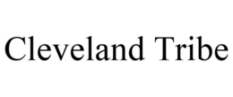 CLEVELAND TRIBE trademark
